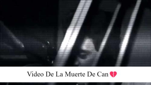 Video De La Muerte De Can?