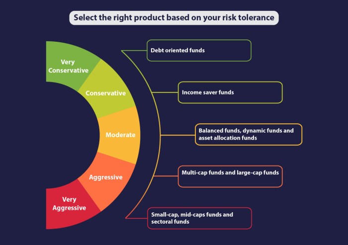 Risk tolerance level based ability investing select right