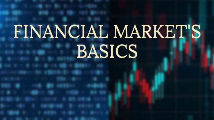 Stock market secondary primary vs markets basics share holder who