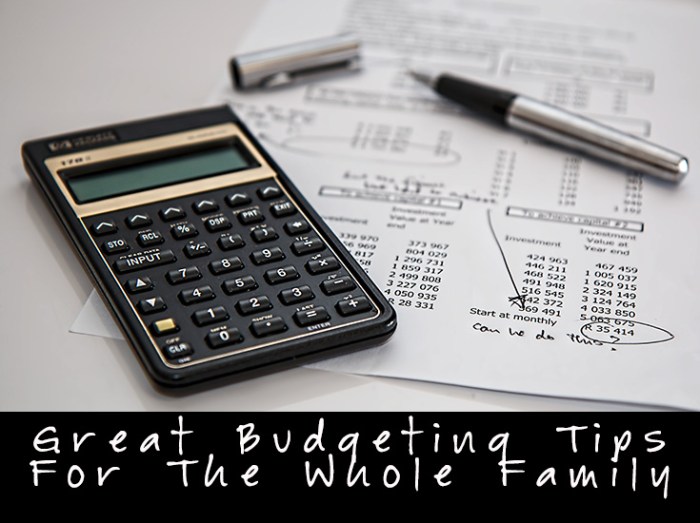 Budgeting whole tips family great