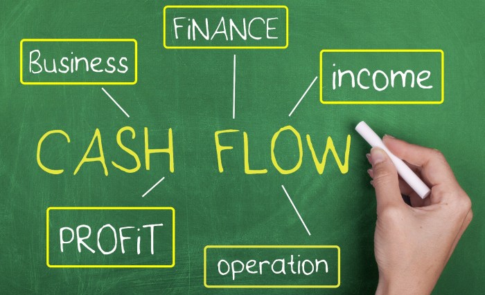 Cash flow manage pro like larger