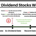 Dividend stocks literacy investing