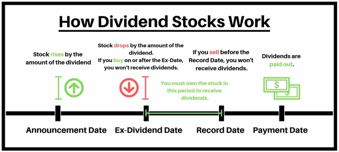 Dividend stocks literacy investing